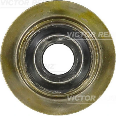 Seal Ring, valve stem